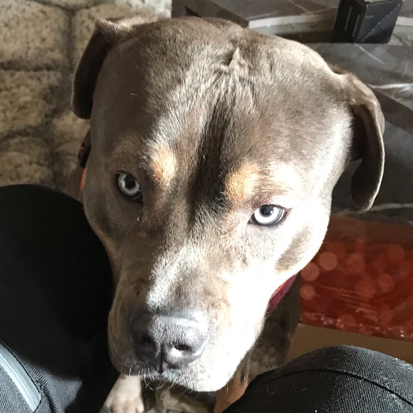 Meet your Posher, K - Picture 1 of 1